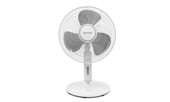 Quạt đứng Sharp PJ-S40MV-LG - hình ảnh thực tế Quạt đứng Sharp PJ-S40MV-LG - hình ảnh thực tế