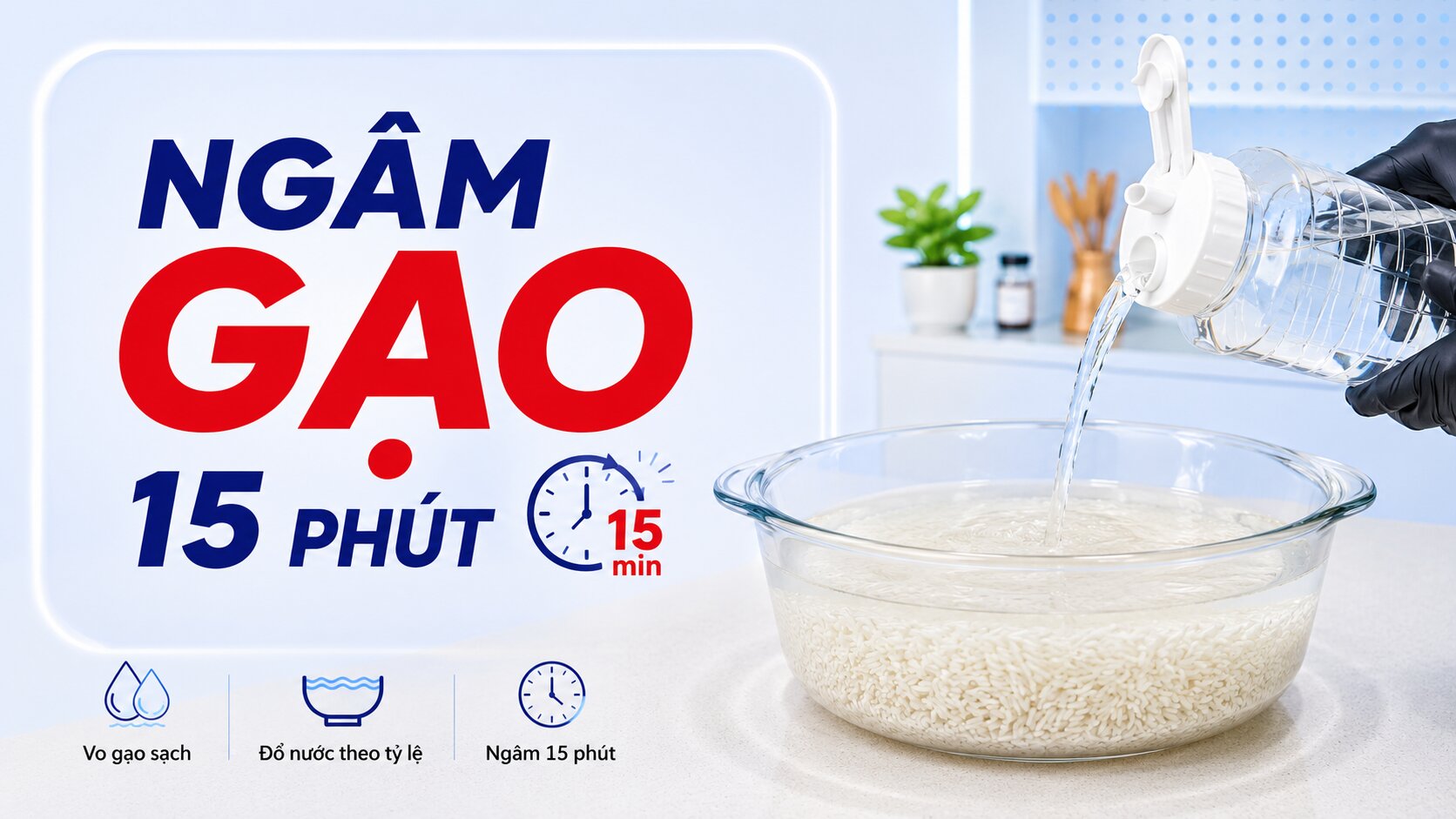 Hình 2